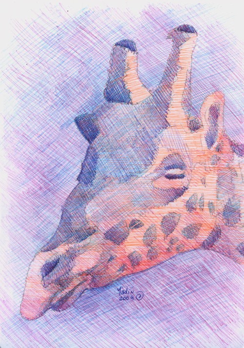 pink girafa